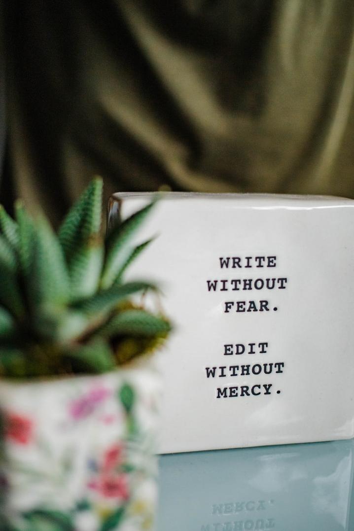 Behind a small plant reads the words on a white block - Write without fear. Edit without mercy.